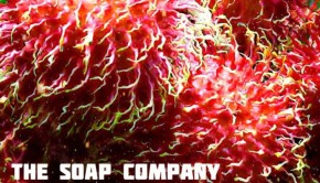 The Soap Company